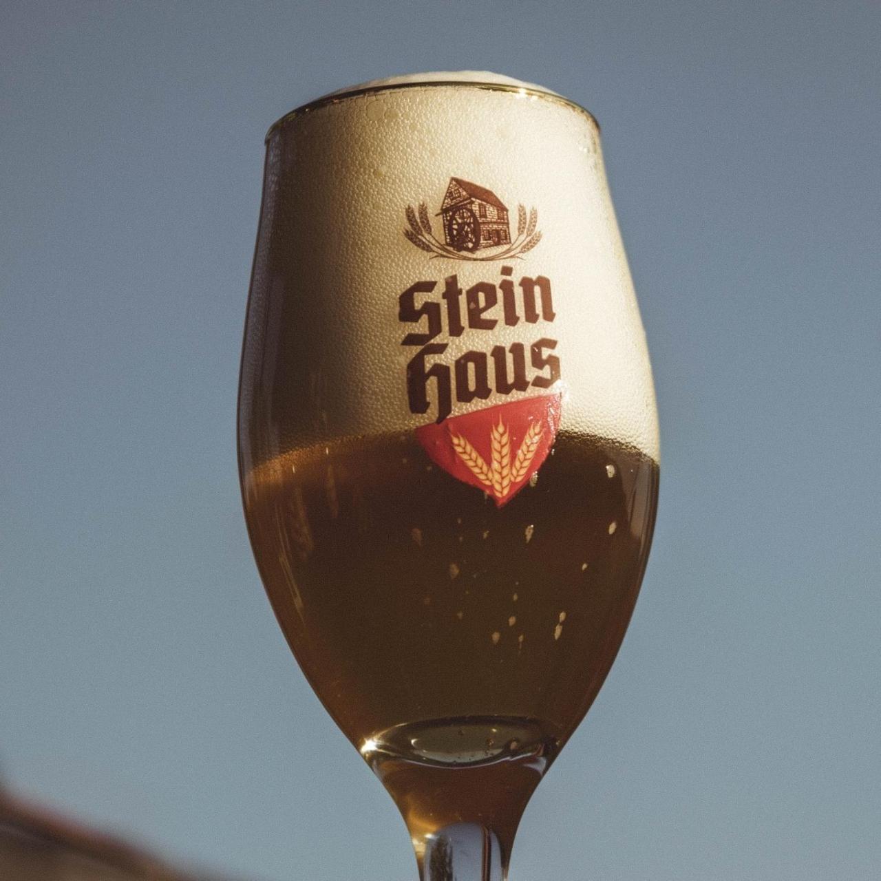 Pousada Stein Haus ピカダ・カフェー エクステリア 写真