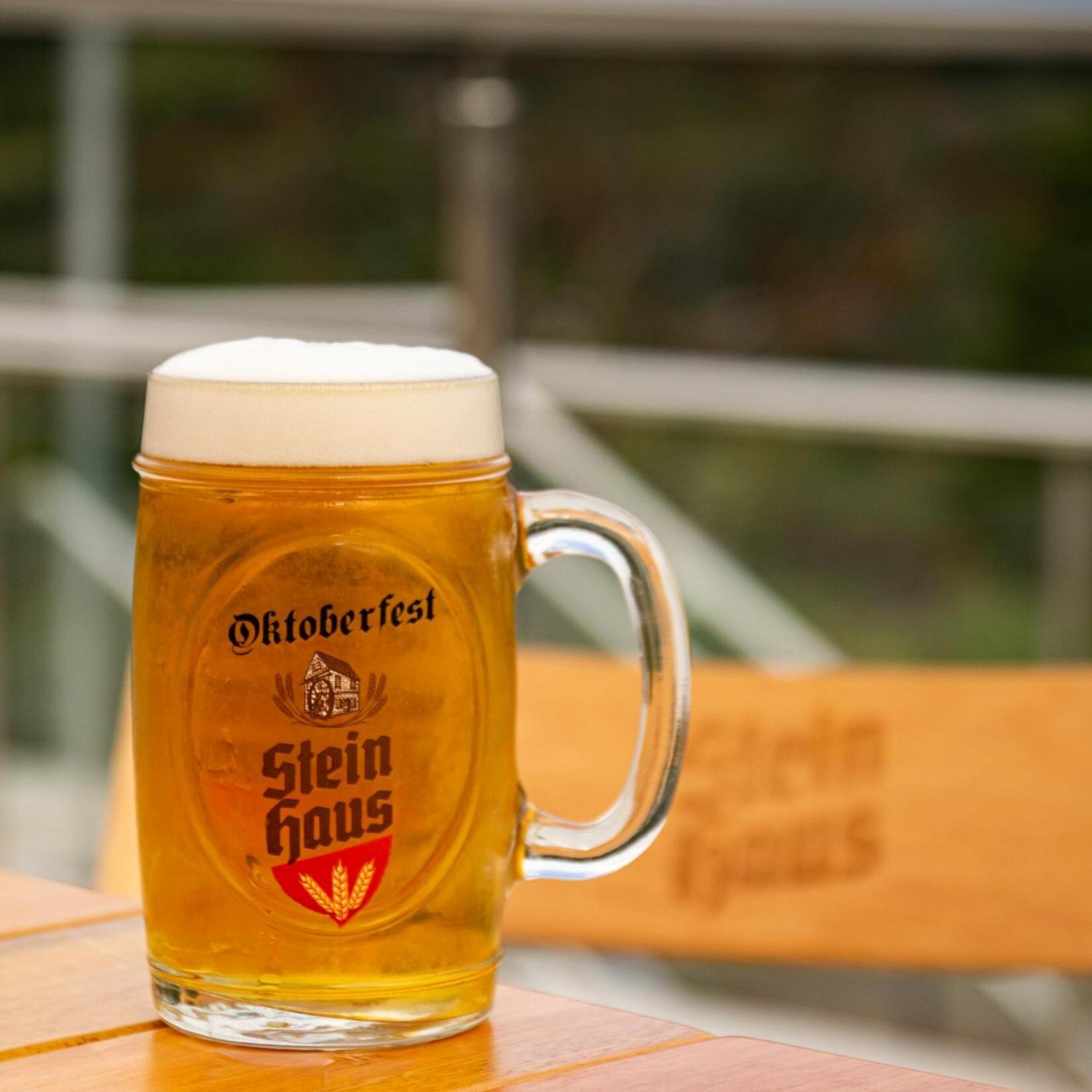 Pousada Stein Haus ピカダ・カフェー エクステリア 写真