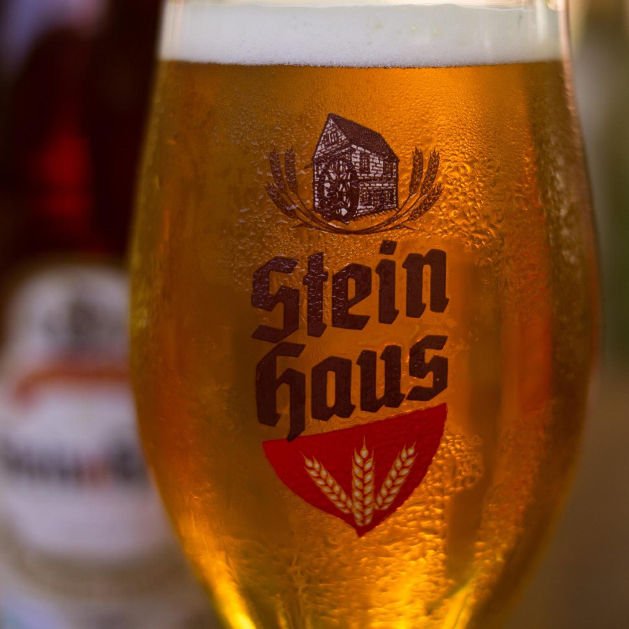 Pousada Stein Haus ピカダ・カフェー エクステリア 写真